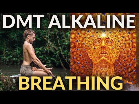 DMT Alkaline Breathing - 3 Rounds (Jungle Edition)