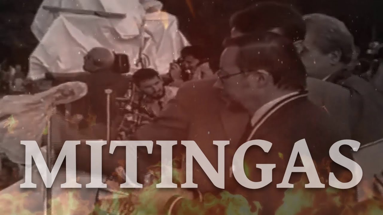 MITINGAS | Erika Švenčionienė | 2022 12 09