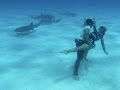 Dancing with Sharks: Shark Couple: Ocean Ramsey & JuanSharks
