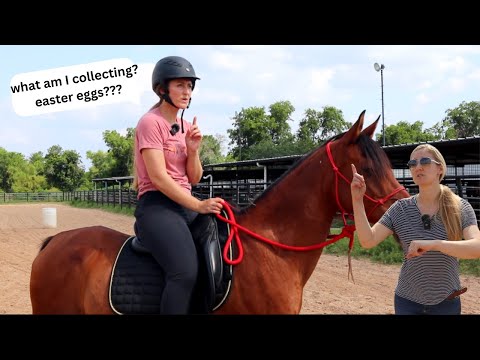 your FIRST Horse Back Riding lesson be like... 😂