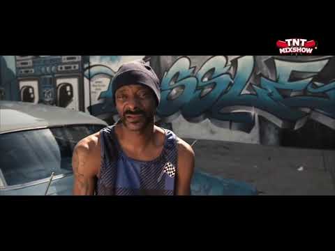 Haiyti ft. Snoop Dog - Holt mich raus hier  (Dj Cashesclay & Dj Mastablaze Remix)