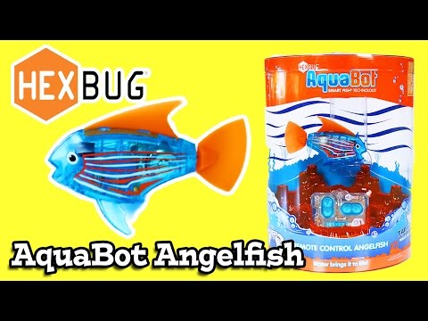 HexBug Aquabot Angelfish Remote Controlled Fish Review