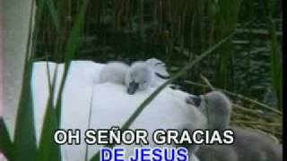 Quiero alabar al Señor