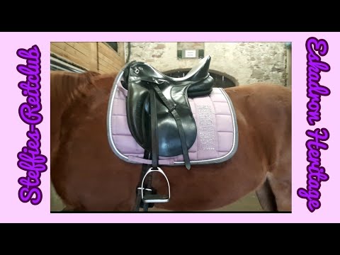 Eskadron Classic Sports