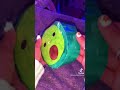 How To Make A Squishmallow Squishy SimplySeashxlls