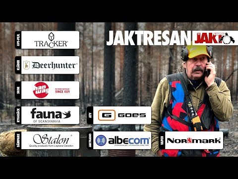 Jaktresan: Älgjakt i brandområde