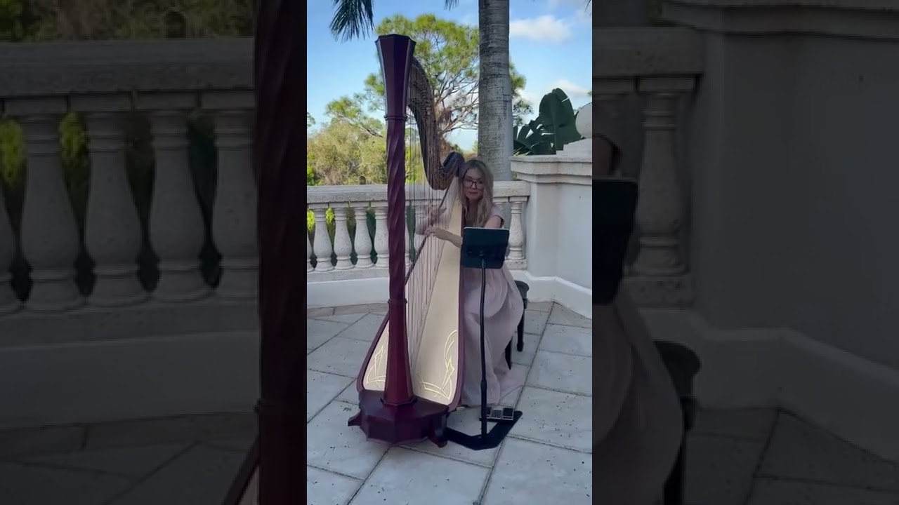 Promotional video thumbnail 11 for Harpist Karina