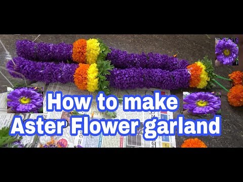 flowers | aster | aster flower | garlands | How to make Aster flowers garland | phool ka haar |