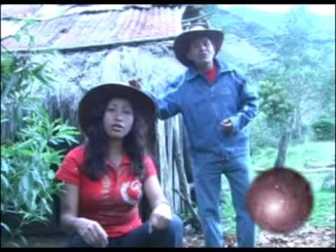 LOS HECHICEROS - COMO QUISIERA