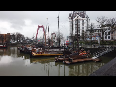 Walking in Rainy Rotterdam ☔ | The Netherlands - 4K60