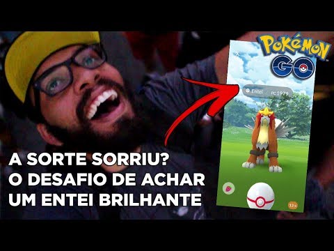 IV ALTO - A Difícil tarefa de achar um Entei Brilhante - POKÉMON GO 213