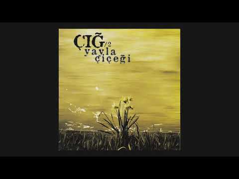 Grup Çığ - Deli Gönül