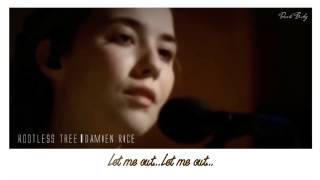 Rootless Tree | Damien Rice (Lyrics/Vietsub)