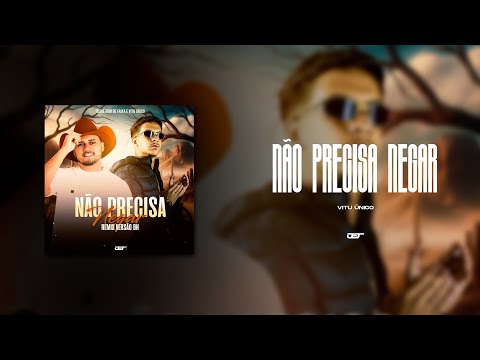 NÃO PRECISA NEGAR(VERSAO BH) VITU UNICO