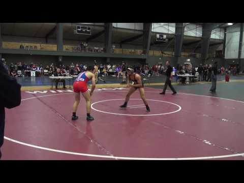 2017 Northwest Regionals Cadet Freestyle 160lbs Danny Snediker vs Austin Watson