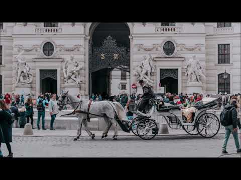 ODOARDO SPADARO        SULLA CARROZZELLA