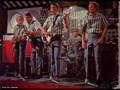 The Beach Boys- Why Do Fools Fall in Love