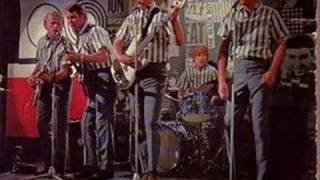 The Beach Boys- Why Do Fools Fall in Love