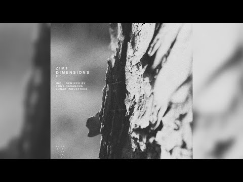 ZIMT - Dimensions (Original Mix)[NachtEin.TagAus]