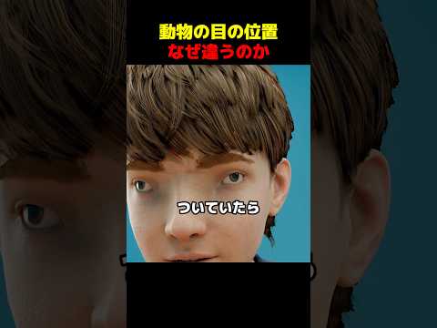 動物の目の位置なぜ違うのか