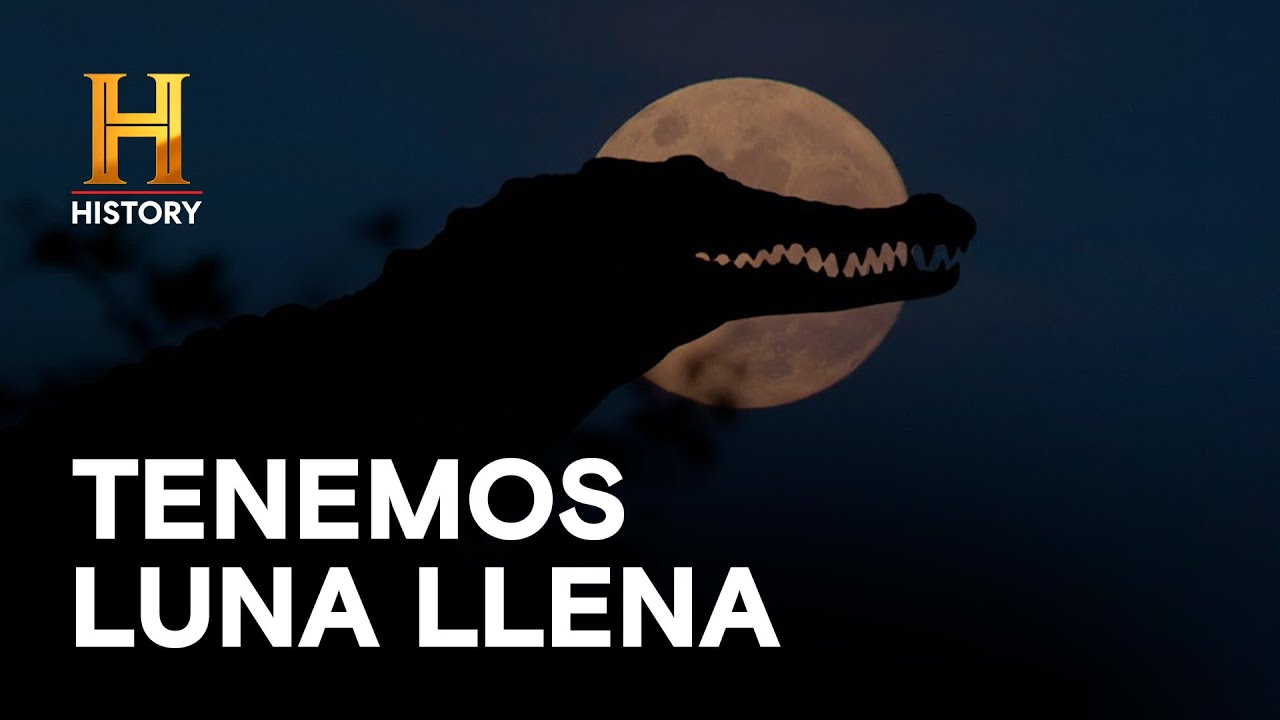 TENEMOS LUNA LLENA - AMOS DEL PANTANO