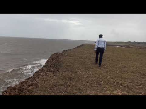 evening 👣 walk with natural sound 🌊 and flying squad 🕊