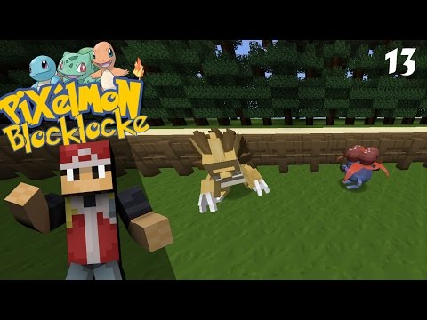 Pixelmon Blocklocke (Pokeballers' Kanto Region): Episode 13 - The Grind is Real