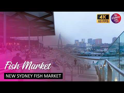 INSIDE the New $750M SYDNEY FISH MARKET Full Walkthrough & Seafood Goodness 4K 60fps ASMR