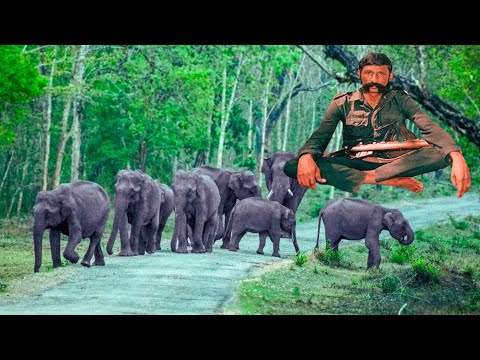 வீரப்பன் மறைவு, ஓசூர் காடுகளையும், அவற்றின் யானைகளையும் அழிக்க உதவுகிறதா? 