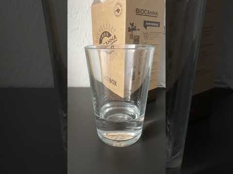 Einfach Samen keimen lassen mit der Wasser-Glas-Methode! 🌱💧