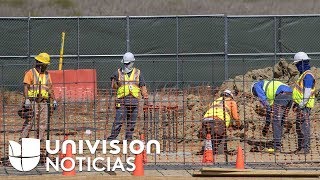 Cuatro compañías compiten por multimillonario contrato para la construcción del muro fronterizo