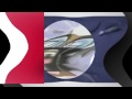 3 Things Feel Dizzy