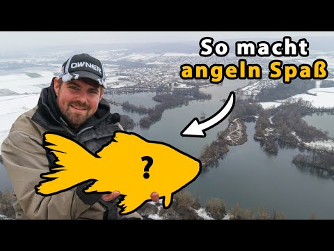 Successful feeder fishing in winter ❄️ | We didn't expect this fish 😍