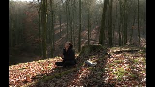 L'appel de la forêt