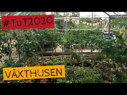 Växthusen. Digital rundvandring - Tusen trädgårdar #TuT2020