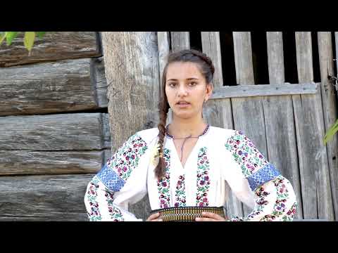 Amalia Izabela Brinzan  - Veniti din strainatate