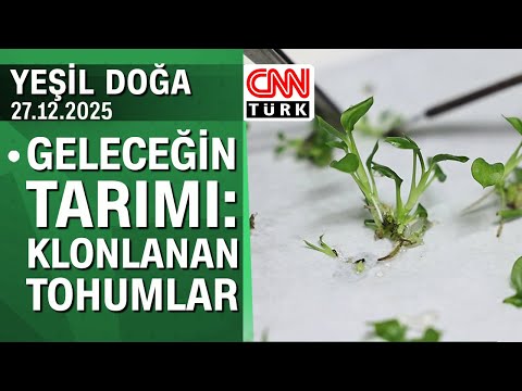 The agriculture of the future: The story of cloned seeds - Green Nature, Saturday, December 27, 2025