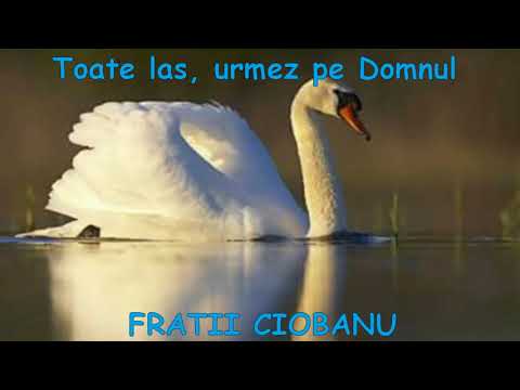 Fratii Ciobanu - Toate las urmez pe Domnul