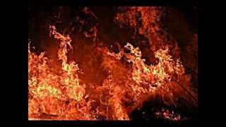 CARCASS - Go To Hell