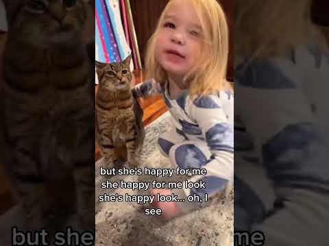 Part 73 #funny #cat#ShortsChallenge