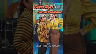 Download lagu OJO NJALUK PEGAT - (Dara Ayu ft. Slamet Pengamen) #OjoNjalukPegat #SlametPengamen #DaraAyu mp3