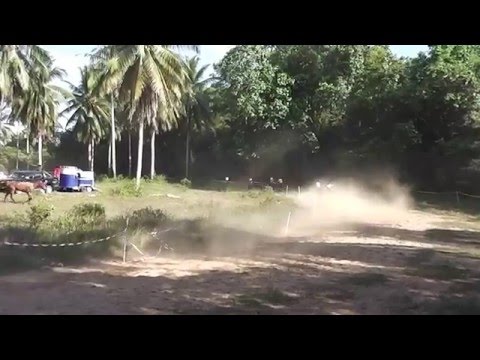 Akhir Kuda PADI A - 05 Mac 2016  @Trek Lacor