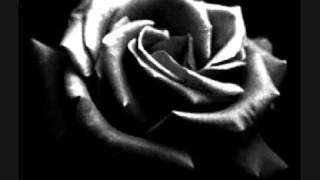 Within Temptation - Dark Wings lyric pl