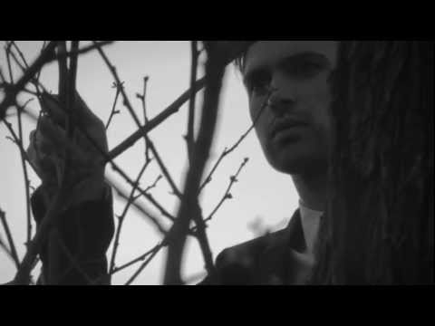 I'm In Love With A German Film Star - Fiorious (Official Video)