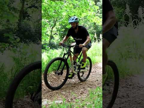 Polygon Siskiu T vs Siskiu D | Which One Is Right For YOU!