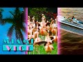 Every Opening Title Intro Seasons 1 5 Miami Vice