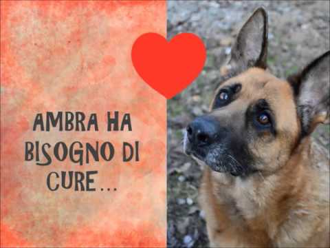 Non girare una spalla dolorante e collo Gonartrosi 1 grado del ginocchio trattata con pomate
