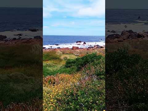 🐠🐟Pesquero hermoso✨✨ Punta Colorada Maldonado 🇺🇾