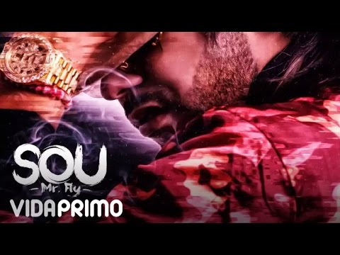 7. Sou "El Flotador" - Jersey ft. Anuel AA [Official Audio] (Mr  Fly The Album)