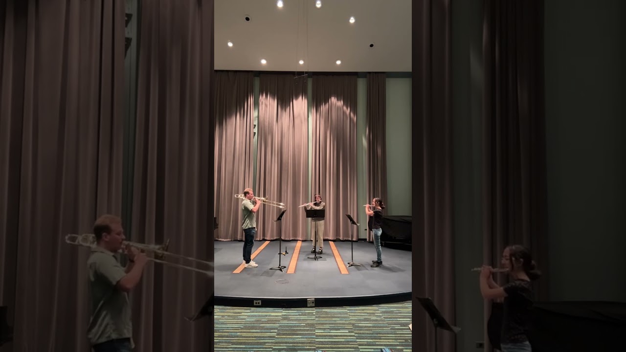 Promotional video thumbnail 1 for Flute by Mia